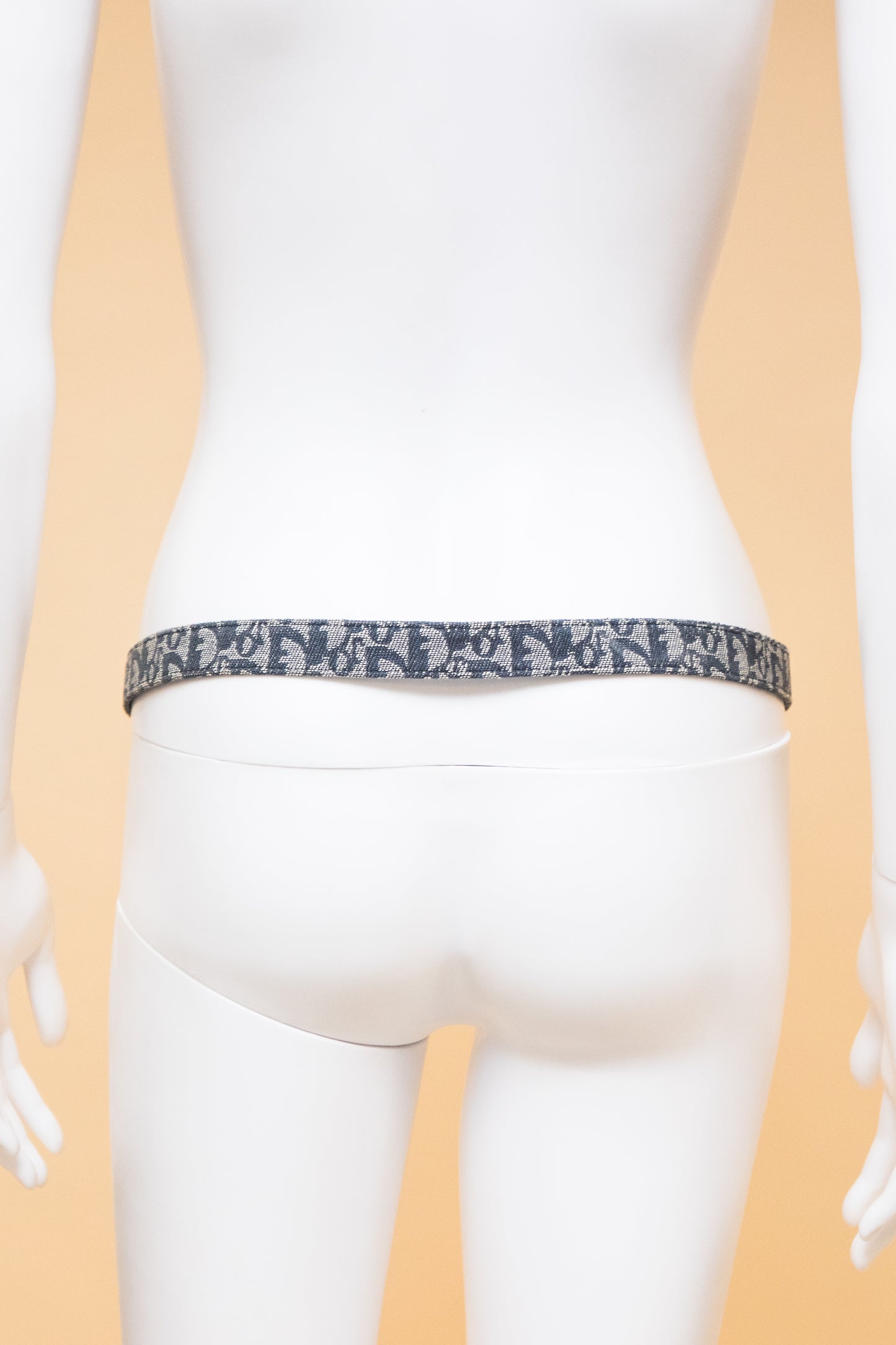 Christian Dior Logo Monogram Belt